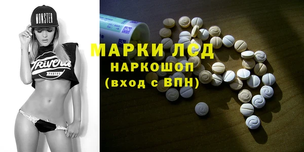 тгк Дмитров