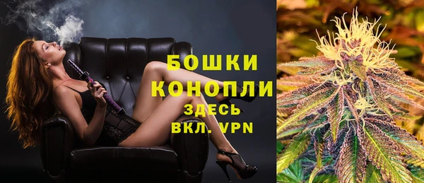 тгк Дмитров