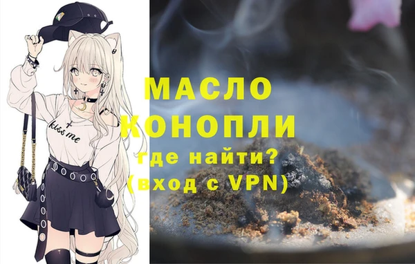 тгк Дмитров