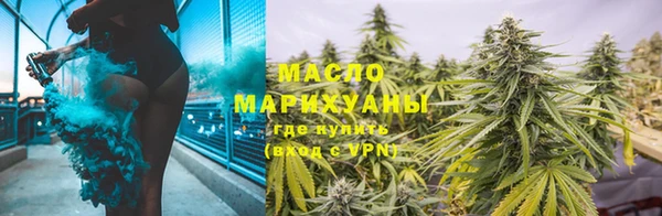 тгк Дмитров