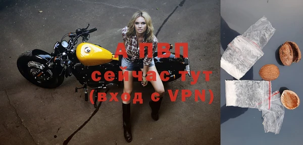 тгк Дмитров