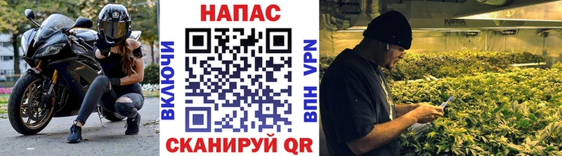 Конопля индика  купить  цена  Оха 